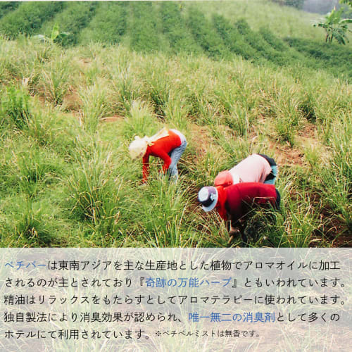 EVetiver Mist PRO (unscented, 50ml) Natural Herbal Deodorant. Contains No Synthetic Surfactants.