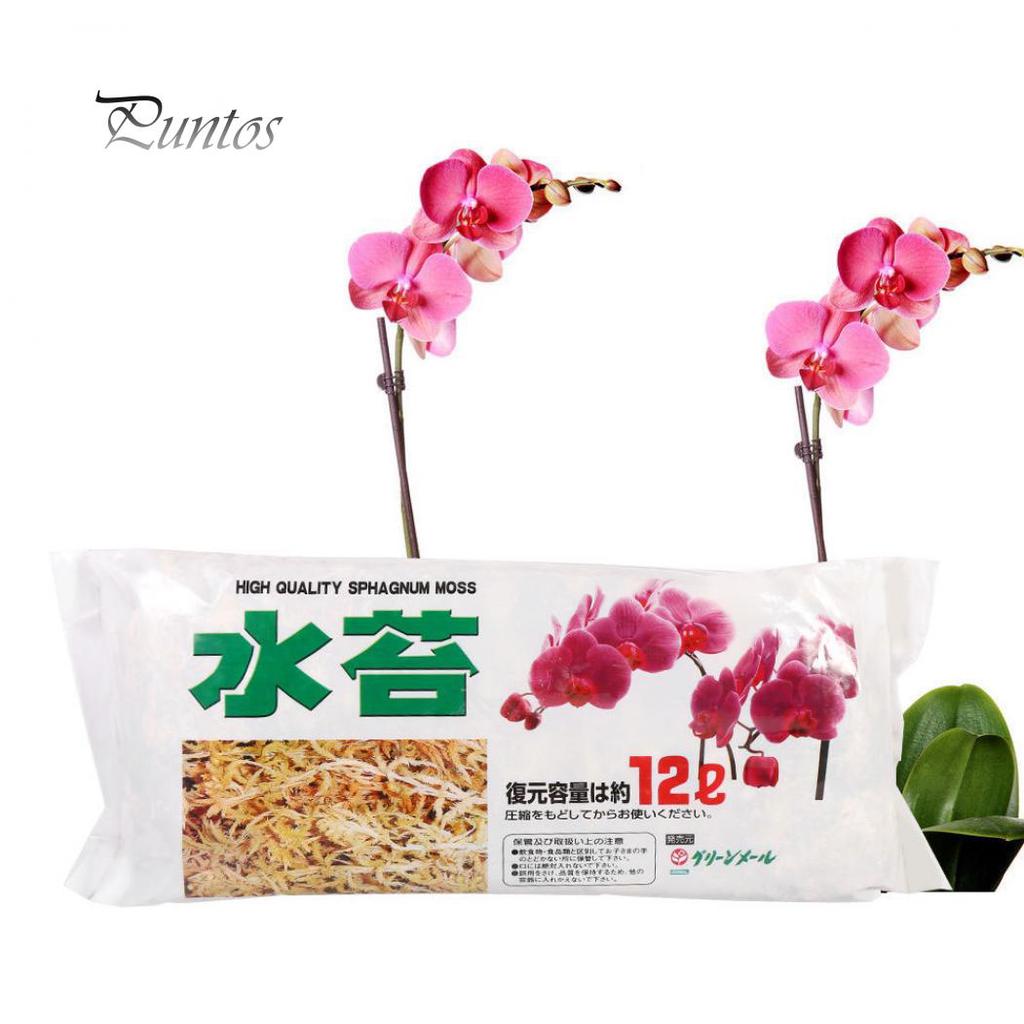 12L Garden Supply Sphagnum Moss Phalaenopsis Orchid Soilless Culture Fertilizer