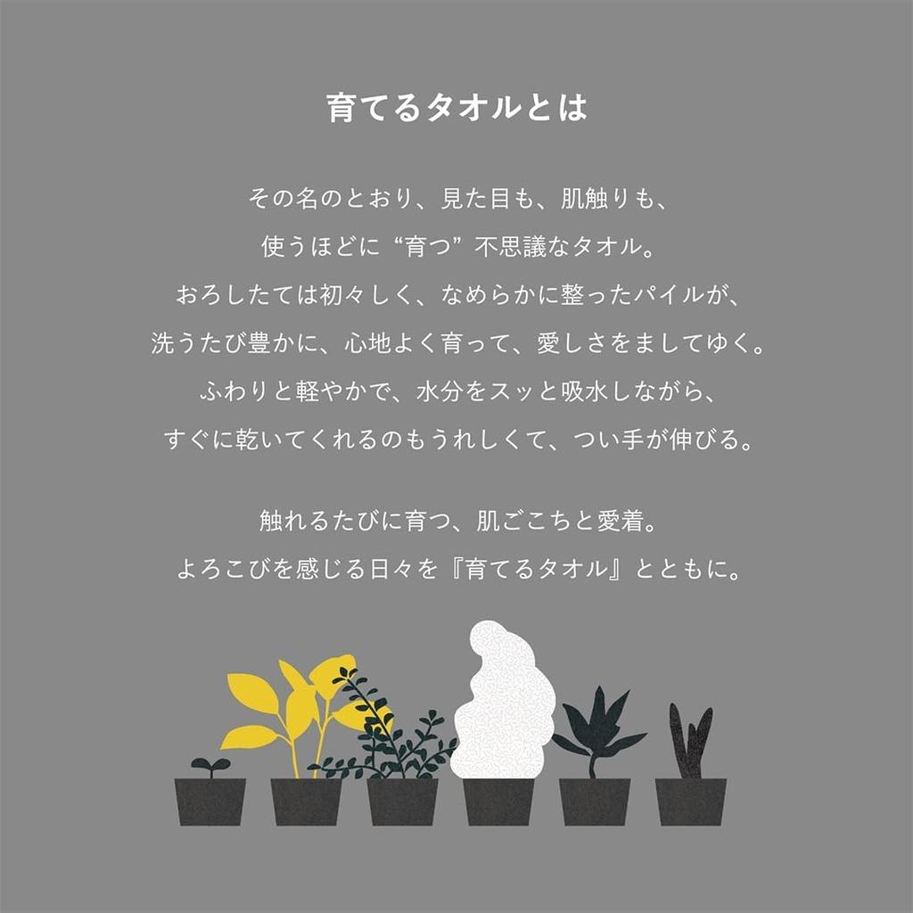 Feel" Sodateru Towel Set (3 Sizes) - Charcoal (Gray) - 60x120cm/34x85cm/20x40cm - 100% Cotton - Boxed (SD-FEEL-BFPCH)