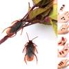 10Pcs/Lot Lifelike Model Simulation Fake Cock Bug Roaches Toy Prank Trick Toys