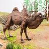 Solid Wild Camel Toy - Dromedary & Bactrian Model for Children's Science Education & Home Decor