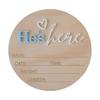 Birth Announcement Sign Wooden Baby Name Weight Length Date Time Plaque Nursery