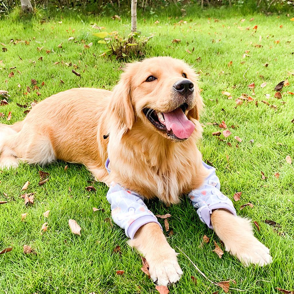 Dog Elbow Brace Thickened Soft Breathable Prevent Licking Wearable Dog Surgery Recovery Sleeve for Front Legs Purple