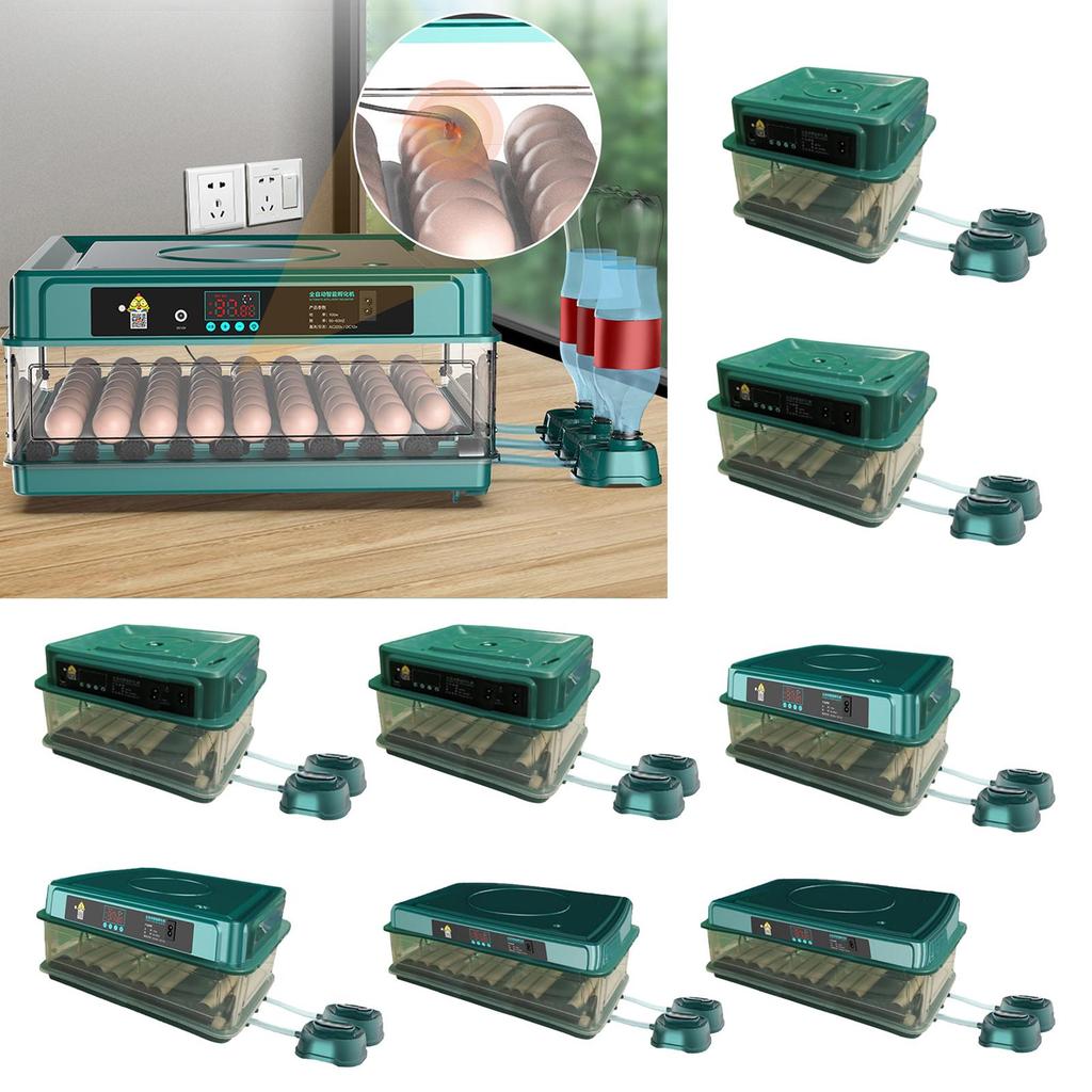 Egg Incubator Automatic Chick LED Display for Goose Chicken 6 Eggs