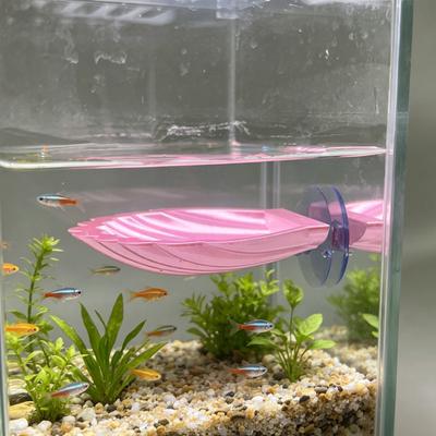 Pesci e animali marini – Scenografie per acquario