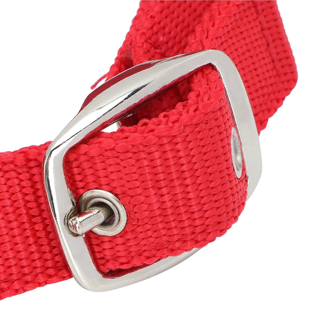 Briglia per Cavallo Regolabile Colore Rosso Ispessito 6mm Cavezza di Controllo Accessori per Equitazione