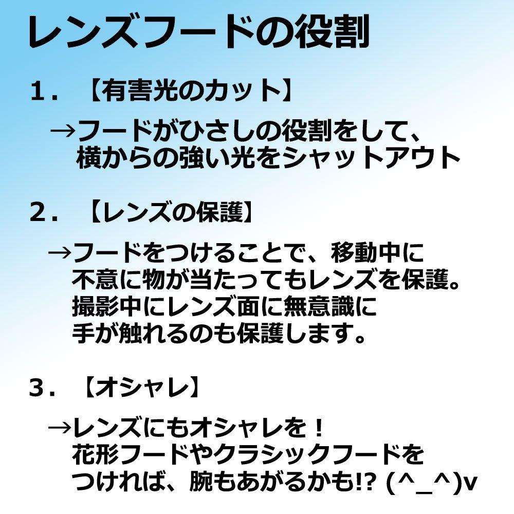 Nikon Double Zoom Kit for and D5300 SLR Cameras Compatible Hoods Lens Protection Filters Camera Accessory Set of 4 and 58 F-Foto AF-P D3400, D3500,
