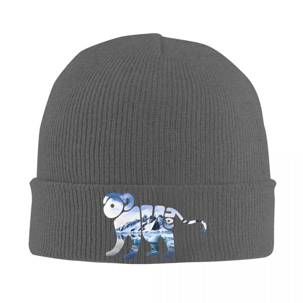 Rock Music Album Band Knitted Caps for Women Men Beanie Winter Hats Arctic Monkeys Crochet Caps