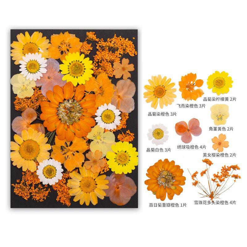 

Orange Series Mixed Dried Pressed Flowers for DIY Resin Mold Fillings Natural Real Dried Flower Leaves Perfect Creative Craft