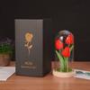 Simulation tulip glass cover ornament creative night light Mother's Day Valentine's Day gift for girlfriend