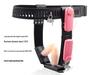 Women's Chastity Panties with Lock & Anal Plug - Erotic Wearable & Training Aid