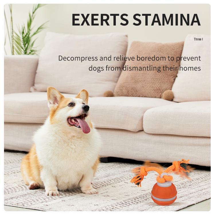 Smart Rolling Ball: Electric Dog Teething Toy & Bite-Resistant Teaser for Boredom Relief