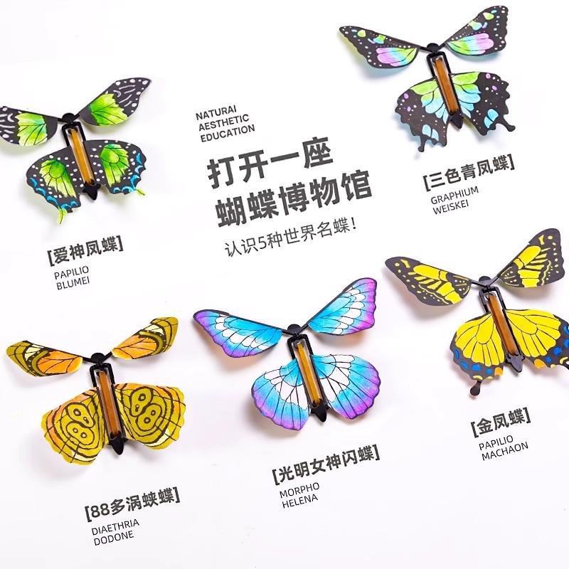 DIY Butterfly Art Kit for 6-Year-Olds - Creative Handmade Craft Pack for Girls