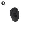 5D Silicone Ear Model for Ear Picking, Teaching, Jewelry Display, and Hearing Aid Demonstration