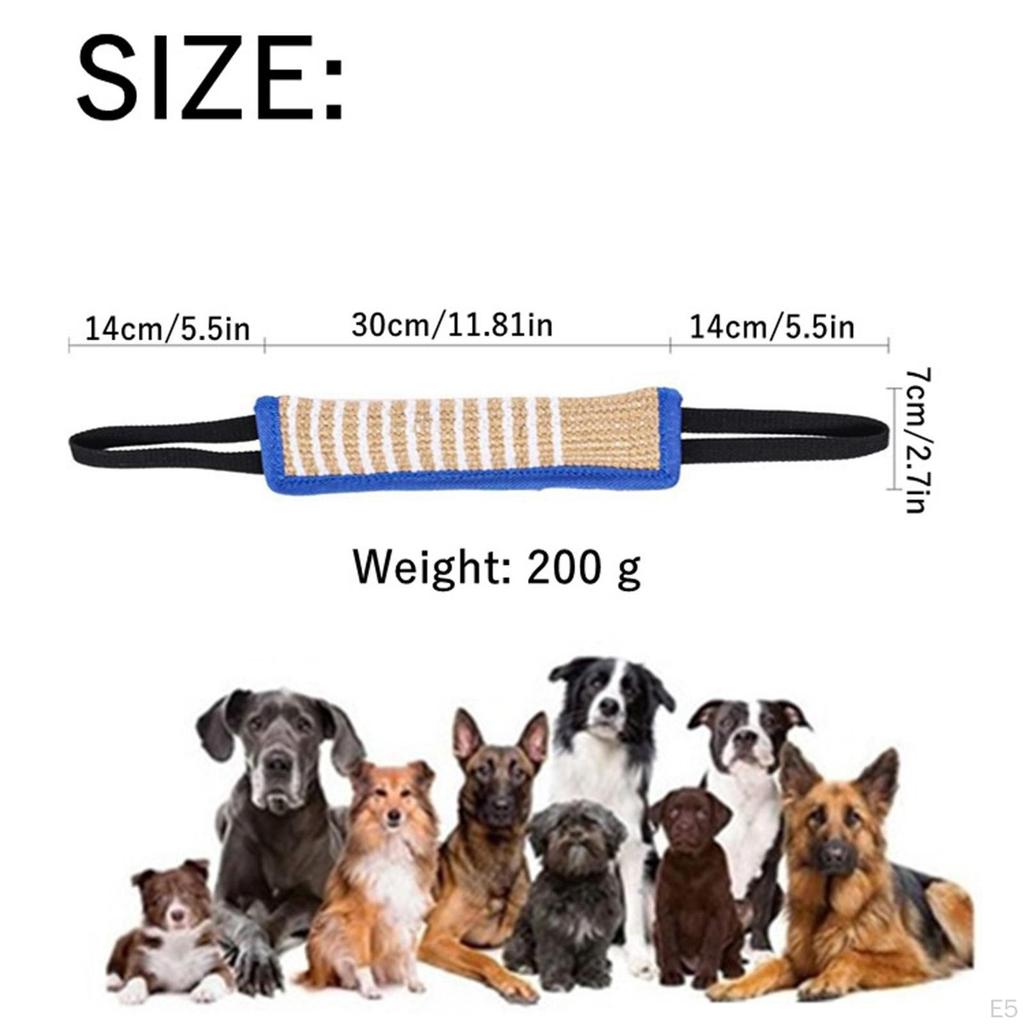 Training Set - Sleeve, Dog Equipment for Training, Biting, Interactive