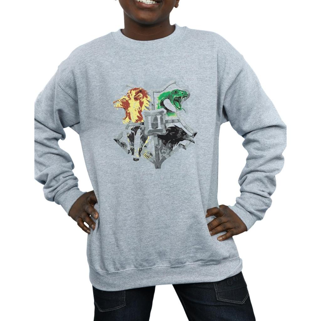 Harry Potter Boys Hogwarts Painted Crest Sweatshirt