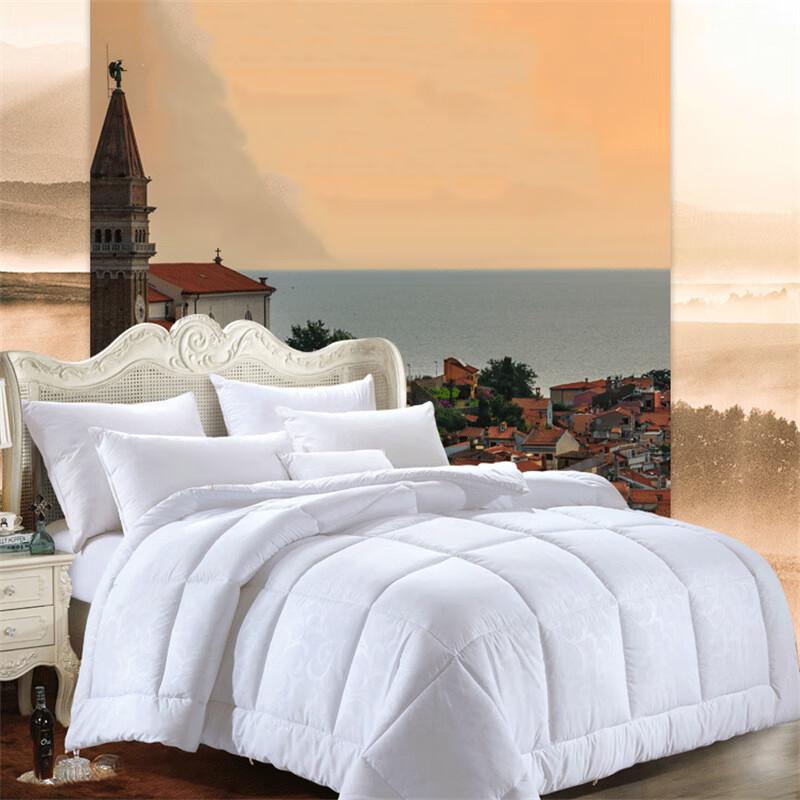 

FUANNA Super Soft Brushed Embossed Winter Quilt