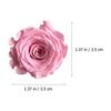  12 Pcs/Box Everlasting Flower Rose Valentines Day Decorations Outdoor Wedding Immortal Preserved Flowers Forever Mother