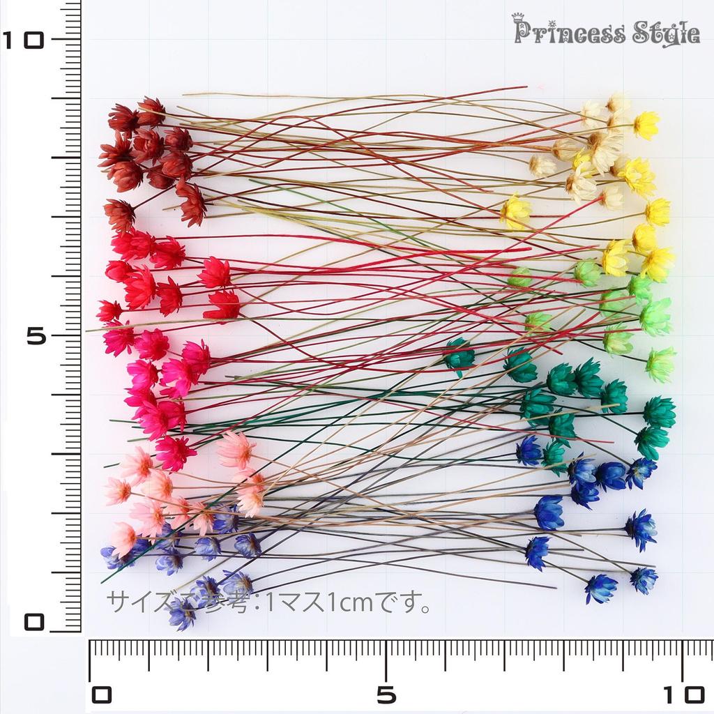 Herbarium Ballpoint Pen Kit Accessory Accessory Floral DIY Includes Set Princess-style - Hobby, Craft, Beads, Parts, Kit, Materials, Kit, Materials,