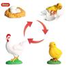 Oenux Simulation Luna Moth Salmon Butterfly Ants Life Growth Cycle Animals Model Action Figures Educational Miniature Kids Toy