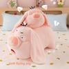Taiyi True Person Flying Pig Stuffed Animal Short Plush Material For Kids Gift