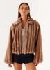 New environmentally friendly fur jacket Internet celebrity European and American winter joints trendy warm top women's imitation fur