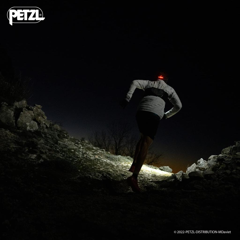 Petzl E0105AA00 NAO RL Japanese [Official Product]