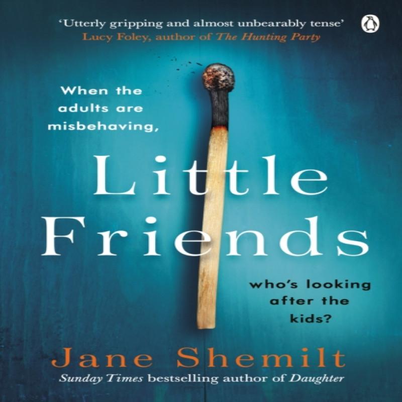 Little Friends by Jane Shemilt Paperback Book 9780718180911