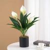 Artificial Flower Bouquet White Anthurium Green Plant Simulation Flowers for Home Living Room Wedding Decoration X3UC