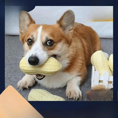 Dog Toys That Are Durable for Biting, Grinding Teeth and Making Sounds, Peanut Toys, Medium and Large-sized Pet Dog Gadgets