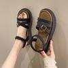 Fashion Roman Sandals Women 2024 Summer New High Heels Platform Clip-toe Sandal for Ladies Non-slip Open-toed Beach Shoes
