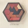 Hexagonal Wooden Geometric Puzzle Blocks for Kids 