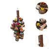 Bird Toy Parrot Chewing Practicing Climb Play Equipment Creative Hanging for