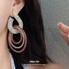 Silver needle flash diamond hollow round earrings light luxury high-end earrings European and American trend earrings design sense niche