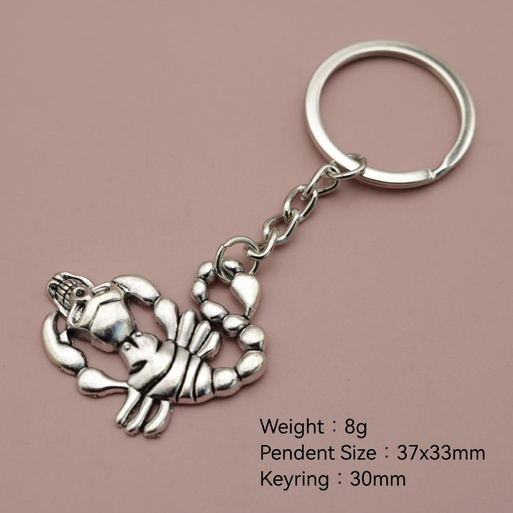 Temu Xiyin Scorpion Keychain Pendant
