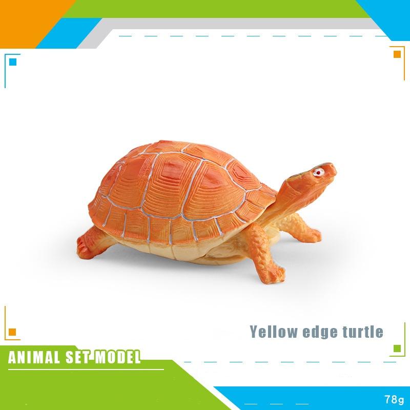 Children Simulated Turtle Model Static Solid Model Toy Animal Set Various Turtle Ornaments Radiated Tortoise Brazilian Slider