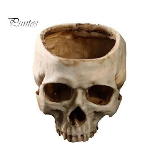 Unique Gothic Gifts Skull Planter, Resin Head Flower Pot, Halloween Candy Bowl, Spooky Beauty Store Display Props Decoration for Tabletop Home