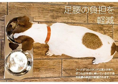 MATUMI Hours Food Bowl Table, Stainless Steel, Medium