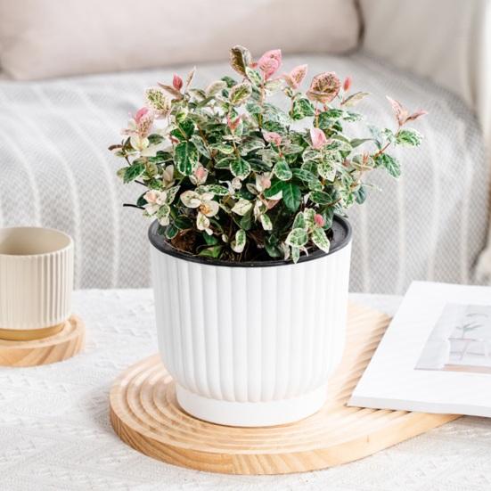 Self Watering Pots for Indoor Plants Plastic Wicking Flower Pots Modern African Violet Planter with Reservoir And Wick Rope