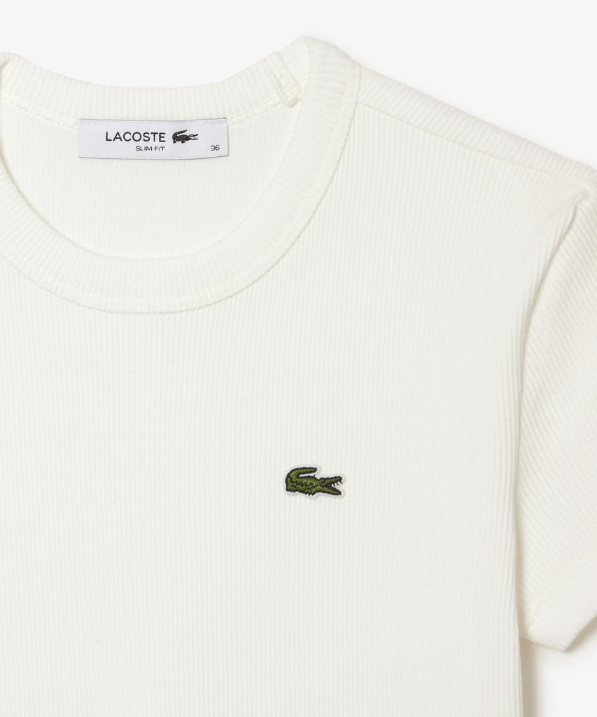 LACOSTE Women'S Slim Fit Rib Knit Short Sleeve T-Shirt Tf5538-56G 70V