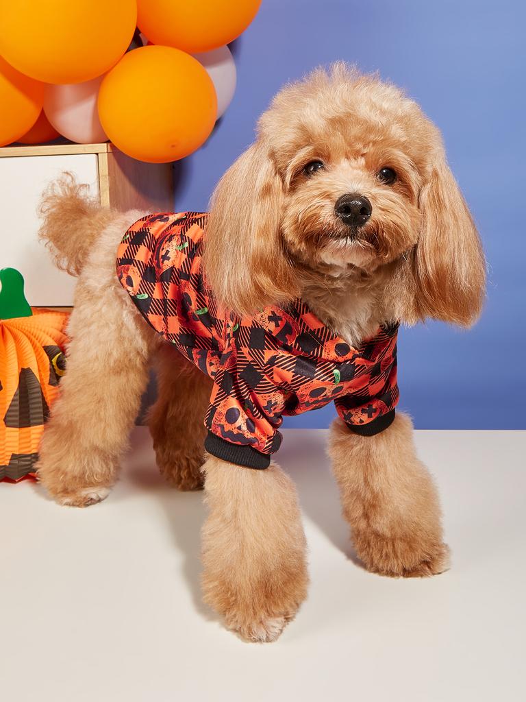 Halloween Pet Hoodie with Pumpkin Prints, Orange & Black Plaid Design, Hooded Sweatshirt Festive Outfit for Small Dogs Cats Pet