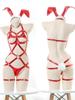 Ladies Latex Dress Set Sexy Lingerie Women Underwear PU Leather Short Dress for Sex Clothing Porn Bodysuit Women Erotic Lingerie