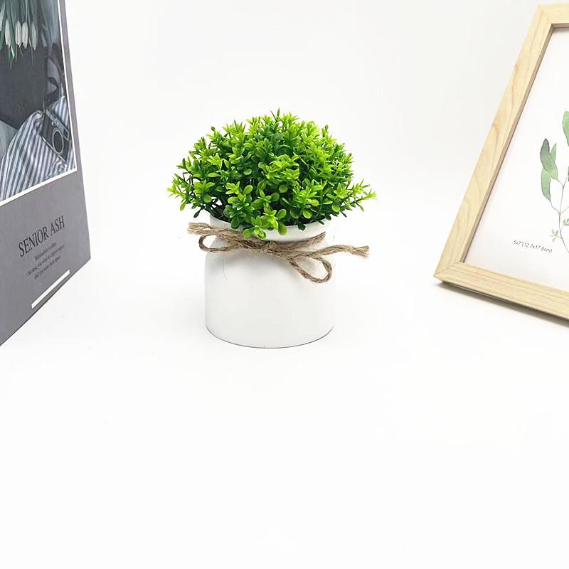Kunststoff Veronicastrum Caulopterum Blumentopf mit Seil Schmetterlingsbindung für Heimdekoration und Gartendekoration