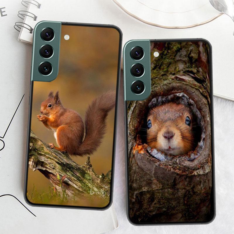 Forest Squirrels Foraging For Food Phone Case For Samsung S25 Edge S24 FE Galaxy S22 Ultra S21 Plus S20 S23 S10 Plus Cover Silic