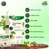 Zandu Tulsi Ginger Mint Herbal Infusion Tea  25 Tea Bags X  Pack of 2 – Refreshing Ayurvedic Wellness Drink