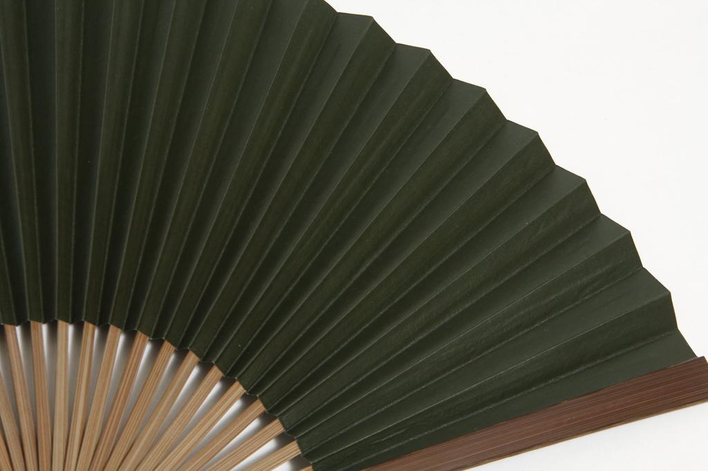 [Hasegawa] Kyoto-style fan, handcrafted by Kyoto artisans, with fan case and wooden presentation box (green)