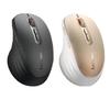 Periferice pentru calculatoare – Mouse-uri