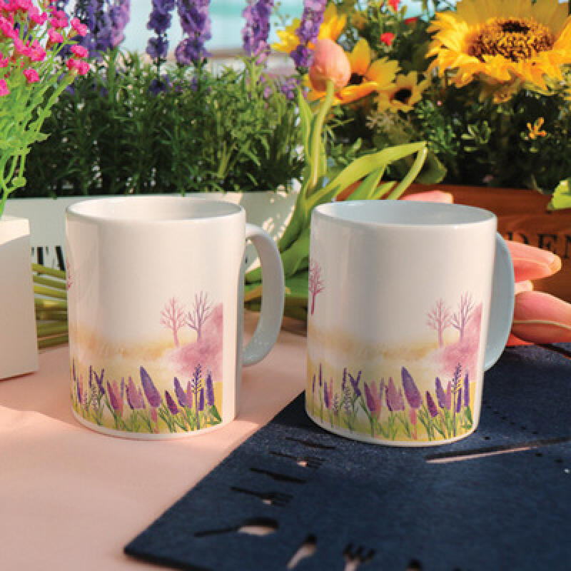 

ib246-Design Mug 2p-Stray Cat on the Grass