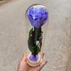 Fiore Immortale Rosa Il Piccolo Principe Cupola di Vetro Festa della Mamma San Valentino Ramo Singolo Rosa Immortale