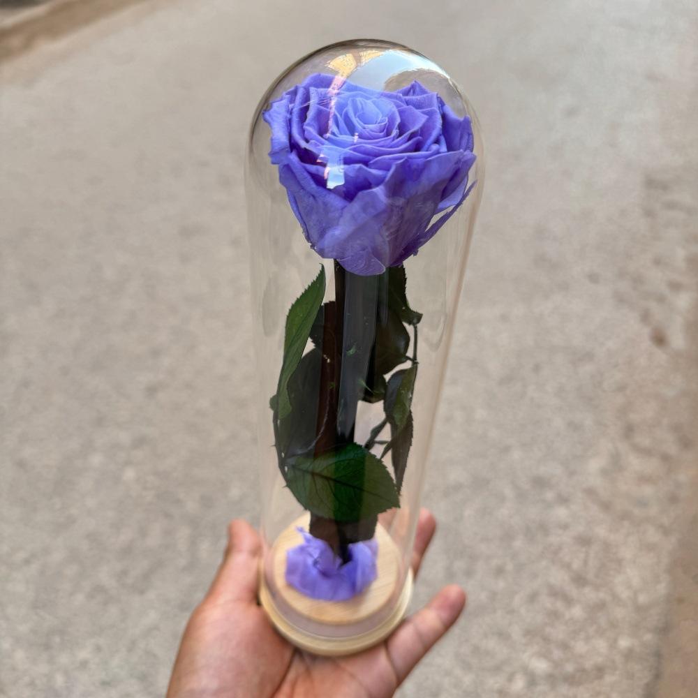 Fiore Immortale Rosa Il Piccolo Principe Cupola di Vetro Festa della Mamma San Valentino Ramo Singolo Rosa Immortale